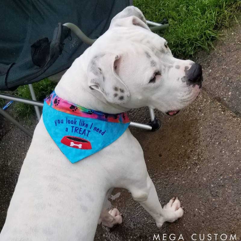 Personalized Dog Lover I Need a Treat Bandana