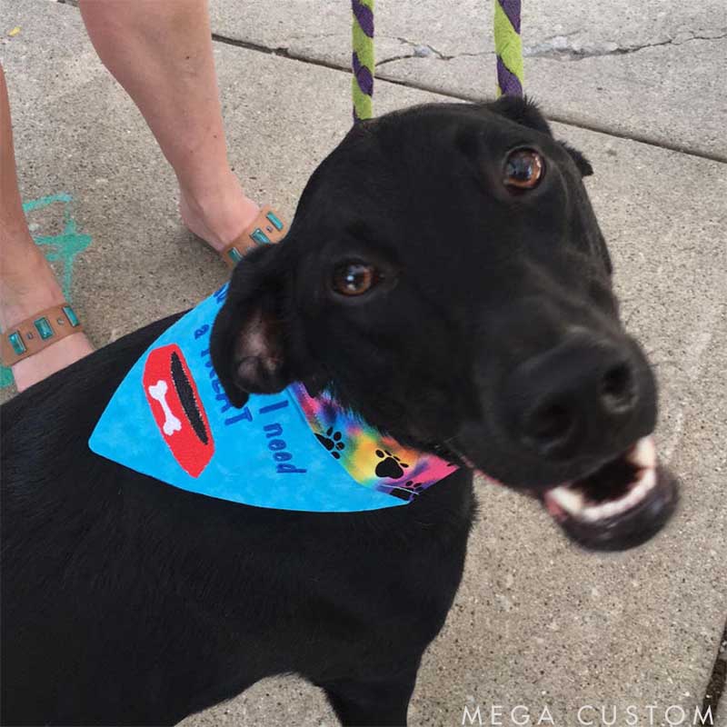 Personalized Dog Lover I Need a Treat Bandana