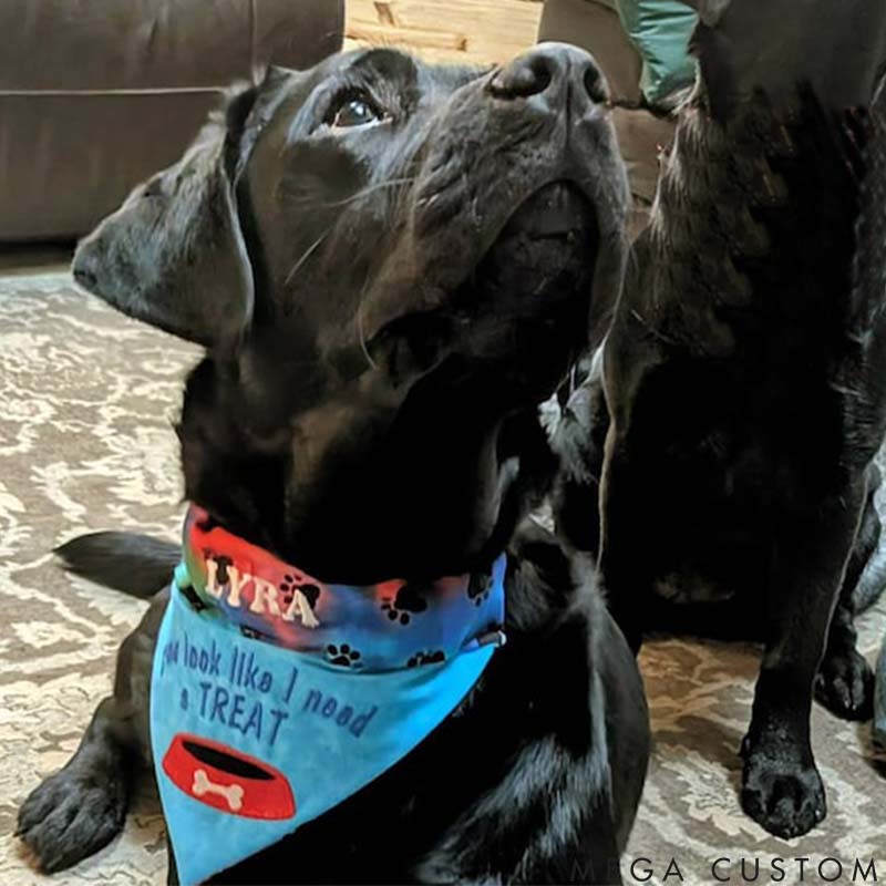 Personalized Dog Lover I Need a Treat Bandana