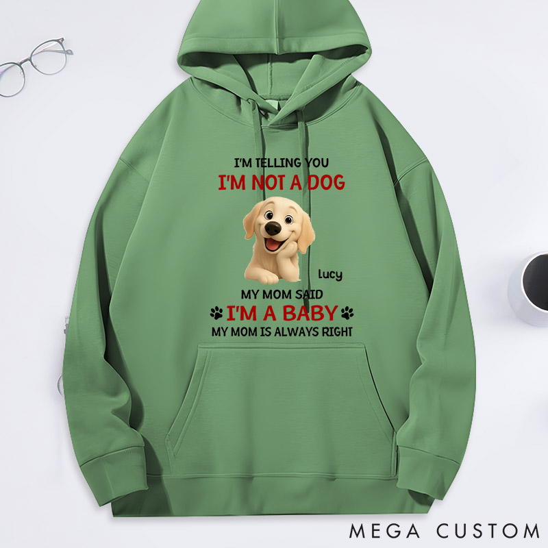 Personalized Dog Lover Litterally a Baby Hoodies