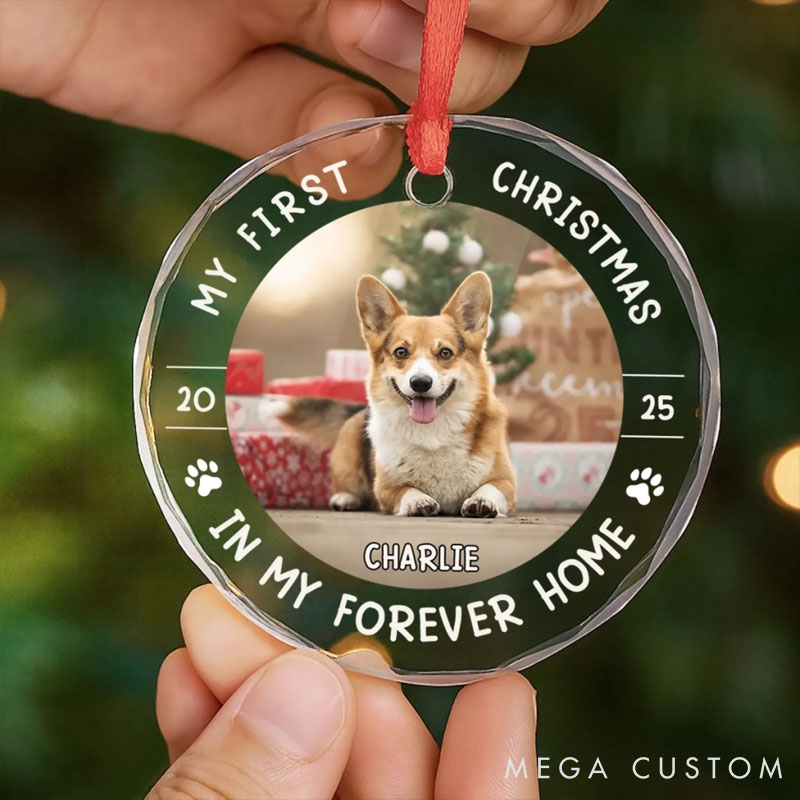 Personalized Dog Lover Little Paws First Big Love Christmas Ornament