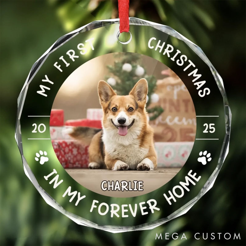 Personalized Dog Lover Little Paws First Big Love Christmas Ornament