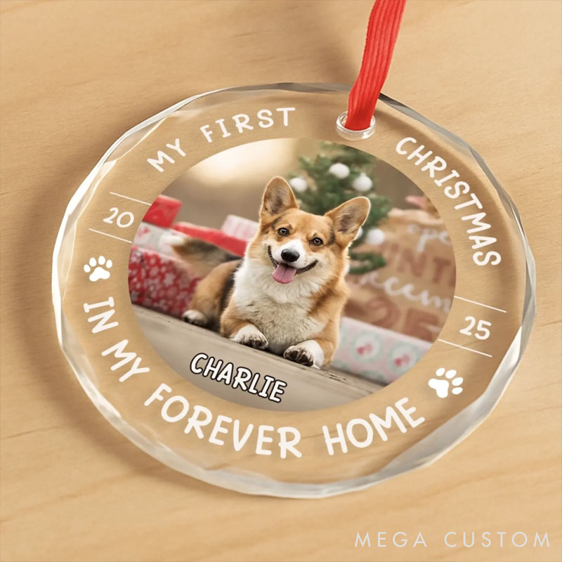 Personalized Dog Lover Little Paws First Big Love Christmas Ornament