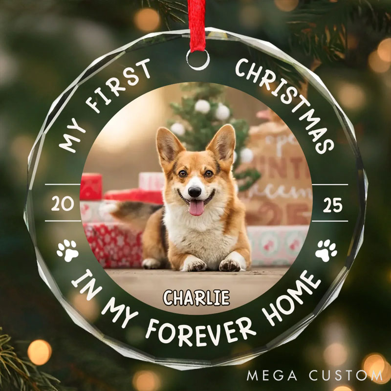 Personalized Dog Lover Little Paws First Big Love Christmas Ornament