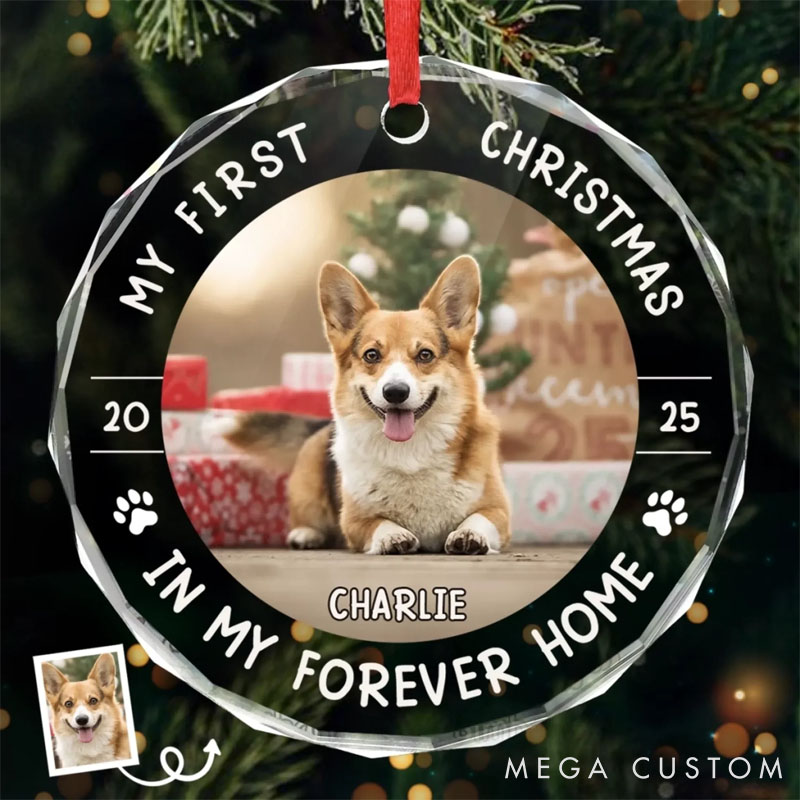 Personalized Dog Lover Little Paws First Big Love Christmas Ornament
