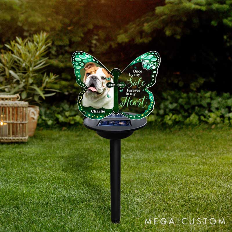 Personalized Dog Lover My Hardest Goodbye Solar Light