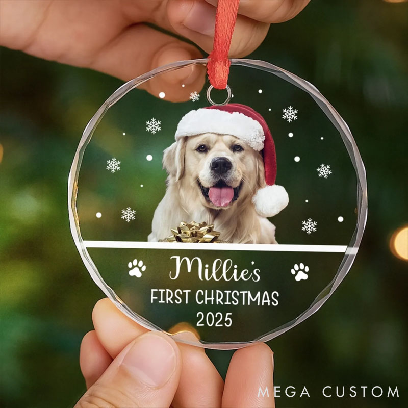 Personalized Dog Lover New Paws New Joy Christmas Ornament