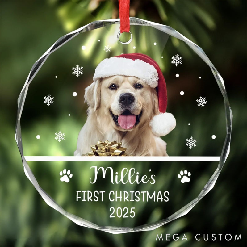 Personalized Dog Lover New Paws New Joy Christmas Ornament