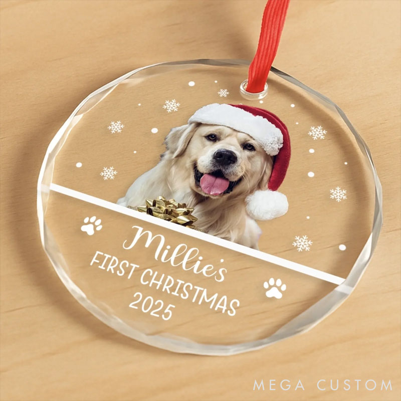 Personalized Dog Lover New Paws New Joy Christmas Ornament