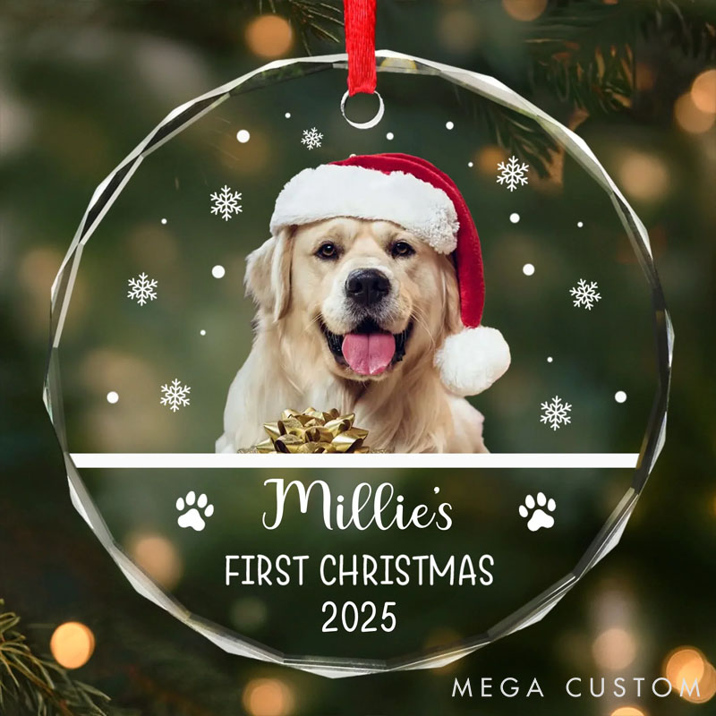 Personalized Dog Lover New Paws New Joy Christmas Ornament