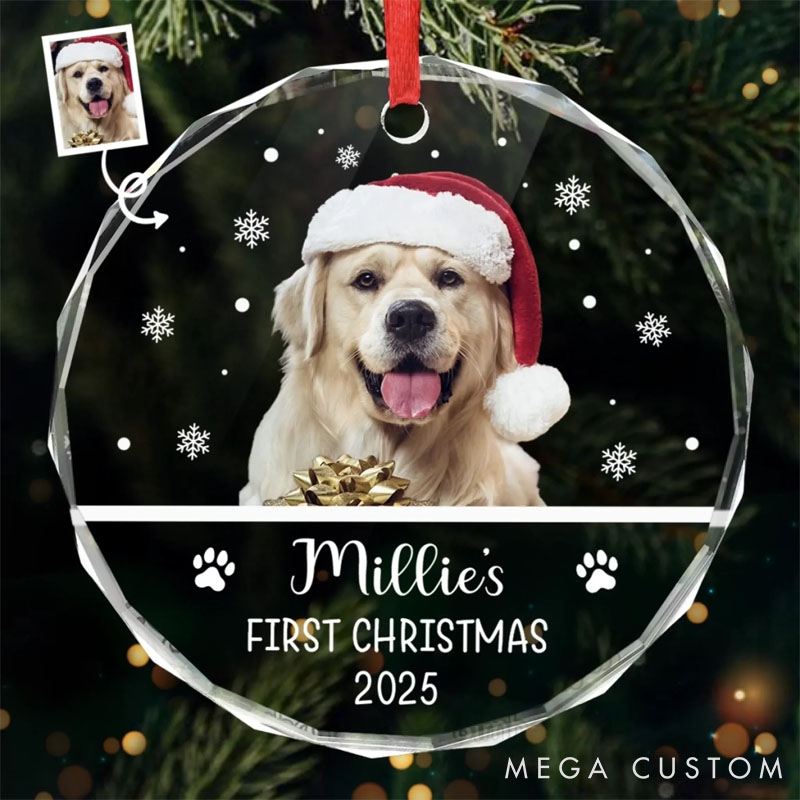 Personalized Dog Lover New Paws New Joy Christmas Ornament