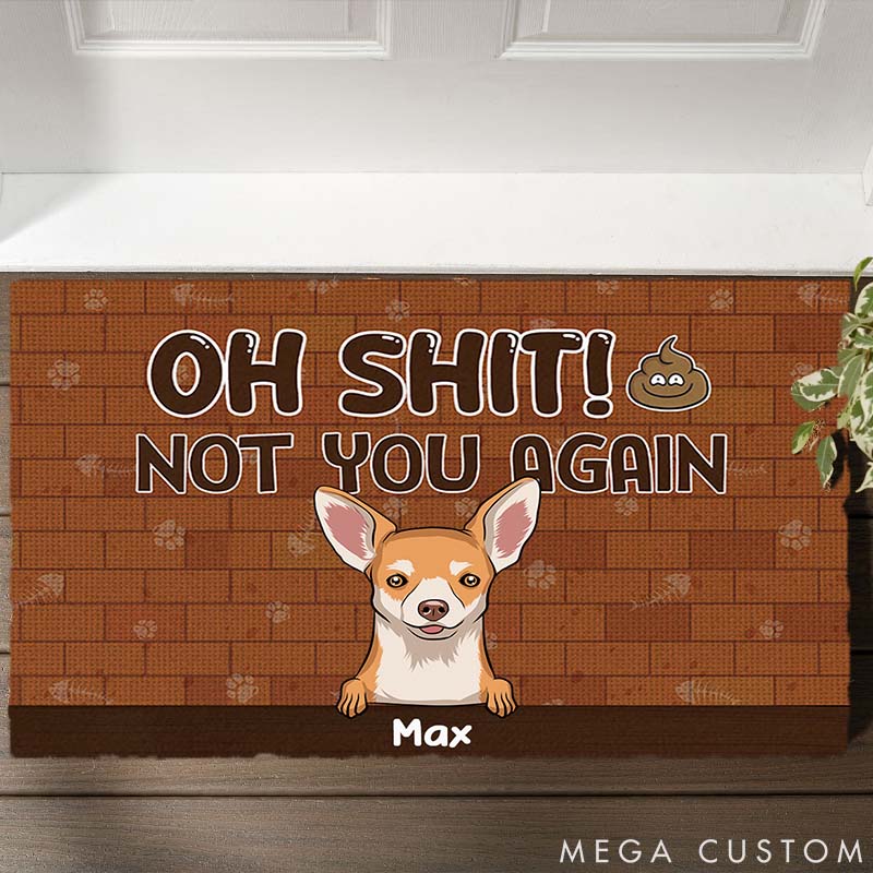 Personalized Dog Lover Not You Again Doormat