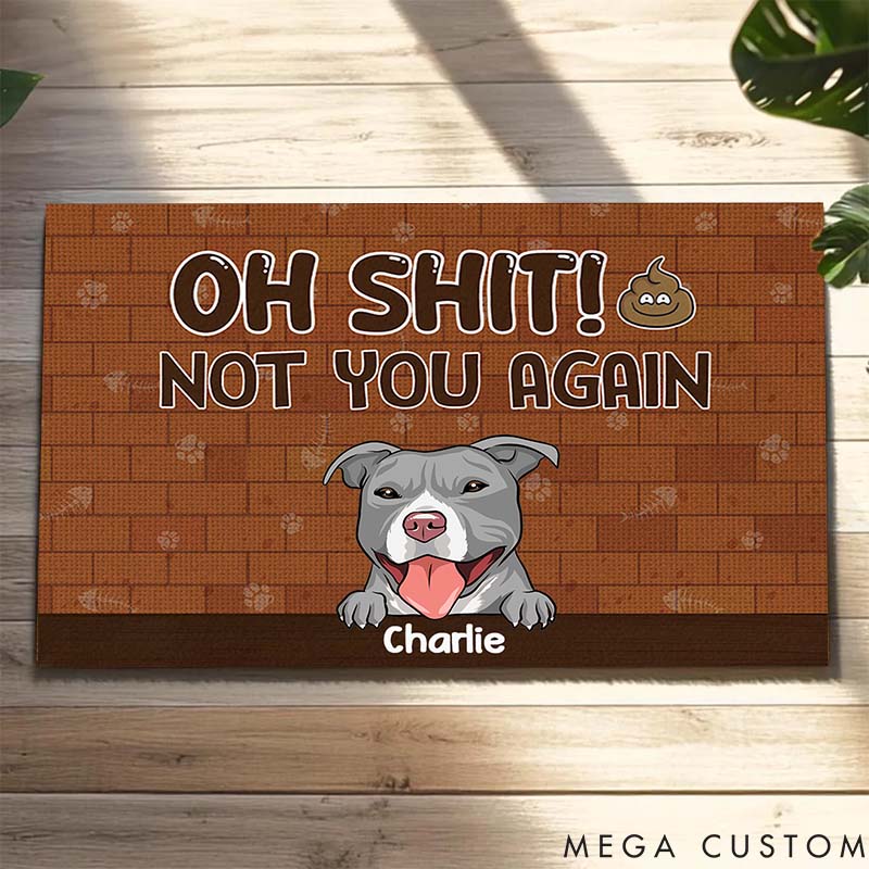 Personalized Dog Lover Not You Again Doormat