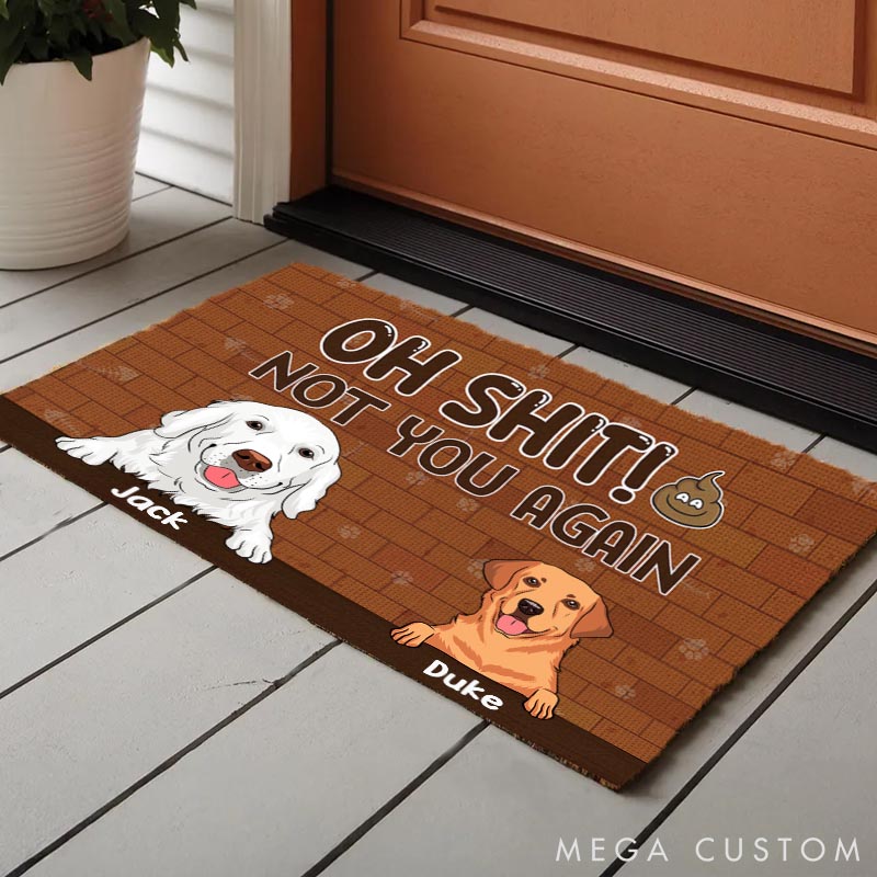 Personalized Dog Lover Not You Again Doormat