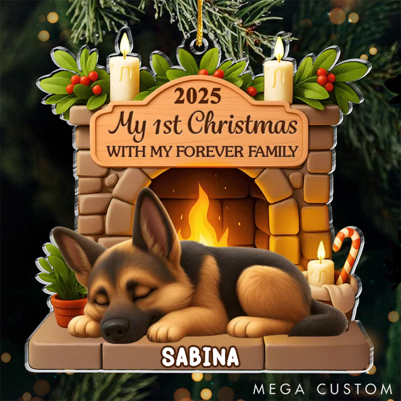 Personalized Dog Lover Pawsitively Loved this Christmas Ornament