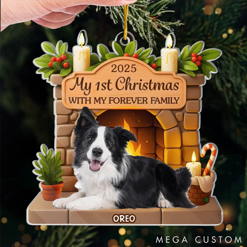 Personalized Dog Lover Photo Pawsitively Loved this Christmas Ornament
