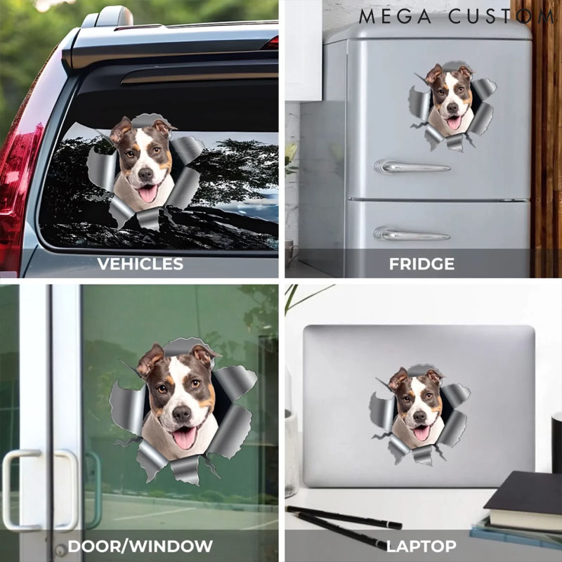 Personalized Dog Lover Photo RV Decal Cracking You Up One Paw at a Time Stickers