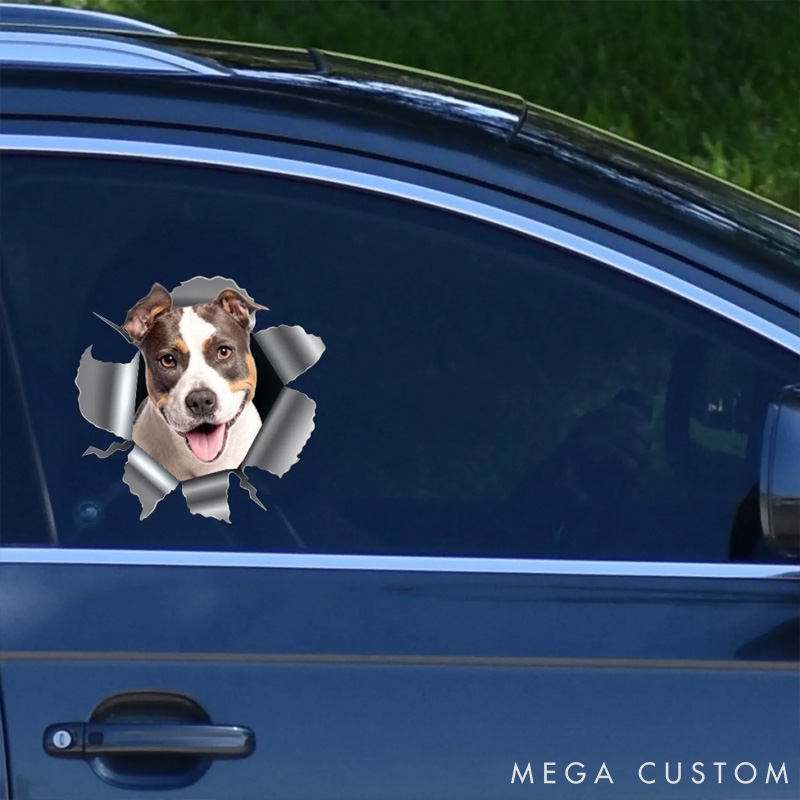 Personalized Dog Lover Photo RV Decal Cracking You Up One Paw at a Time Stickers