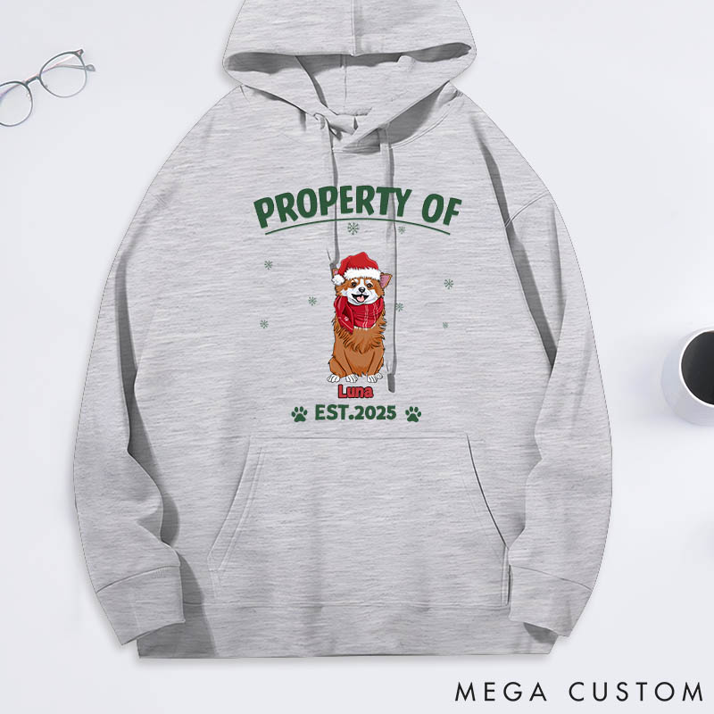Personalized Dog Lover Property of Simple Dog Classic Hoodies