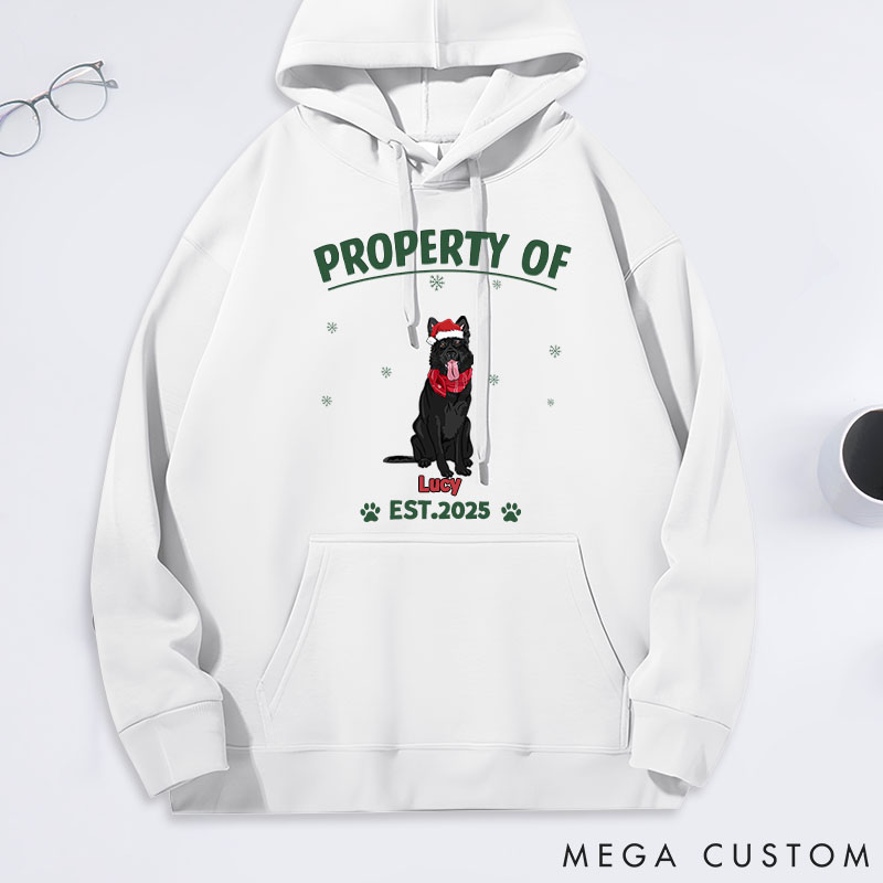 Personalized Dog Lover Property of Simple Dog Classic Hoodies