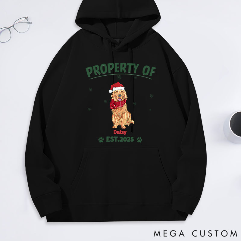 Personalized Dog Lover Property of Simple Dog Classic Hoodies