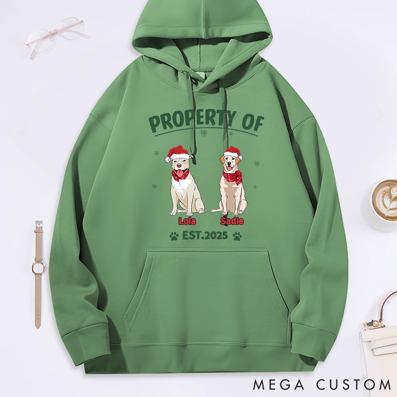 Personalized Dog Lover Property of Simple Dog Classic Hoodies