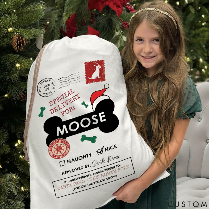 Personalized Dog Lover Special Delivery for Dog Name Santa Sack Funny Paw Parent Christmas Sack