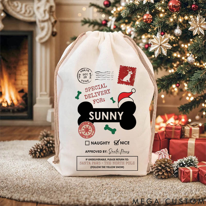 Personalized Dog Lover Special Delivery for Dog Name Santa Sack Funny Paw Parent Christmas Sack