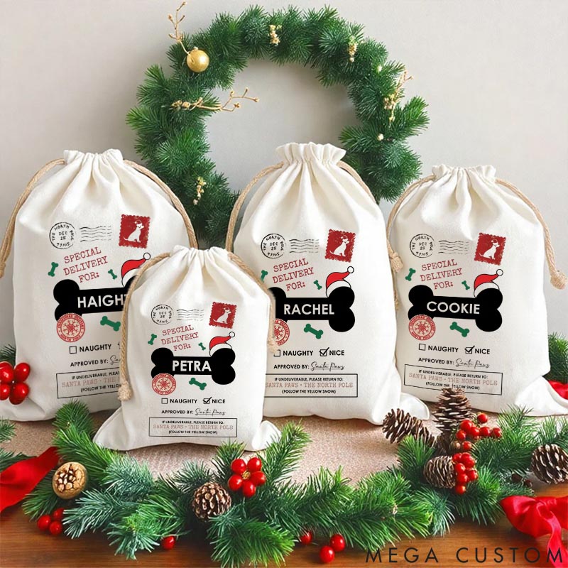 Personalized Dog Lover Special Delivery for Dog Name Santa Sack Funny Paw Parent Christmas Sack