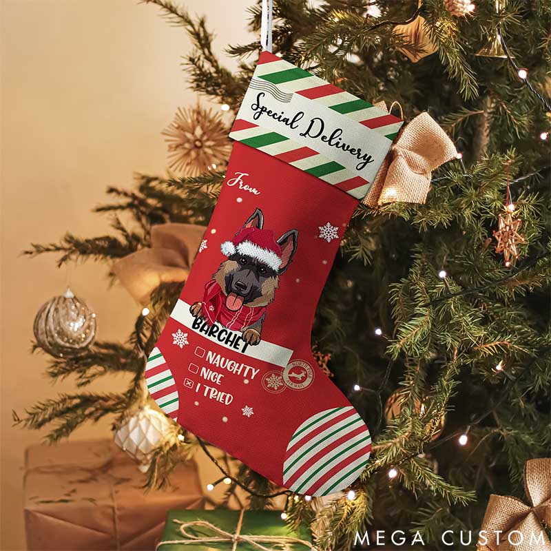 Personalized Dog Lover Special Delivery to Santa Christmas Stockings