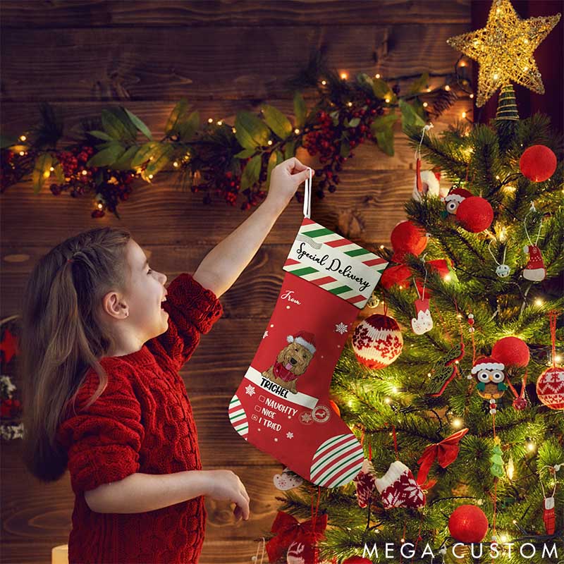 Personalized Dog Lover Special Delivery to Santa Christmas Stockings