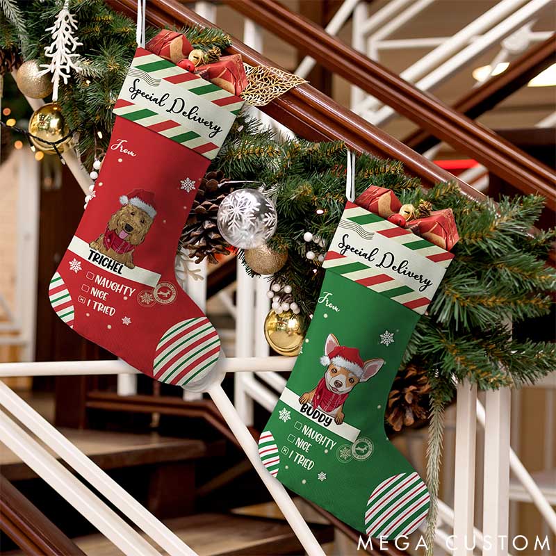 Personalized Dog Lover Special Delivery to Santa Christmas Stockings