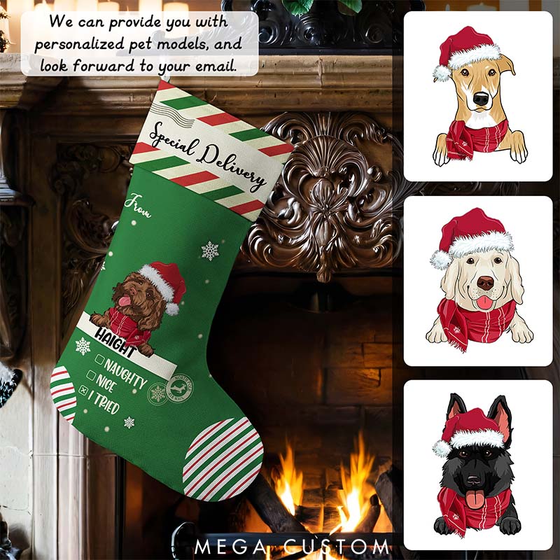 Personalized Dog Lover Special Delivery to Santa Christmas Stockings