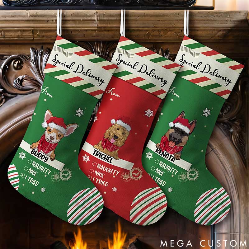 Personalized Dog Lover Special Delivery to Santa Christmas Stockings