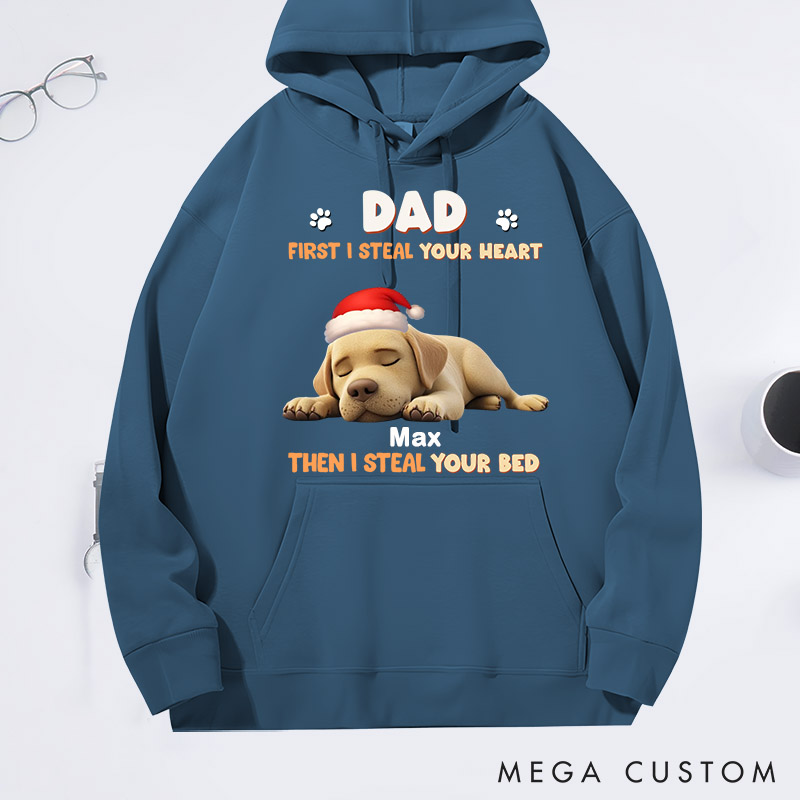 Personalized Dog Lover Steal Your Dog Parent Life Hoodies