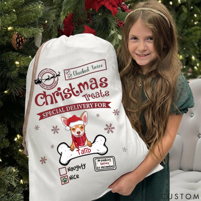 Personalized Dog Lover Treats Special Delivery for Dog Christmas Sack