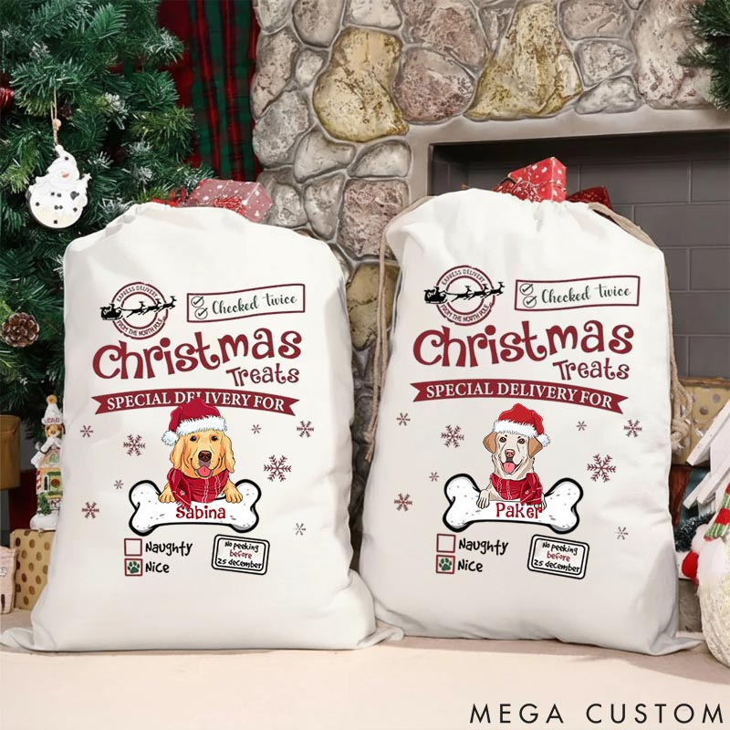 Personalized Dog Lover Treats Special Delivery for Dog Christmas Sack