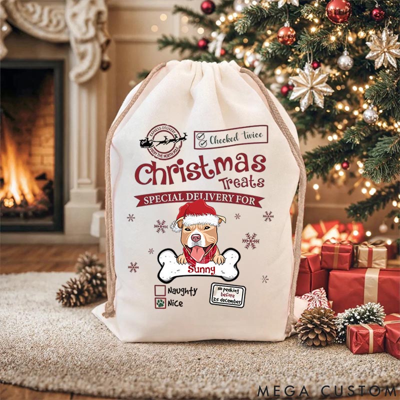 Personalized Dog Lover Treats Special Delivery for Dog Christmas Sack