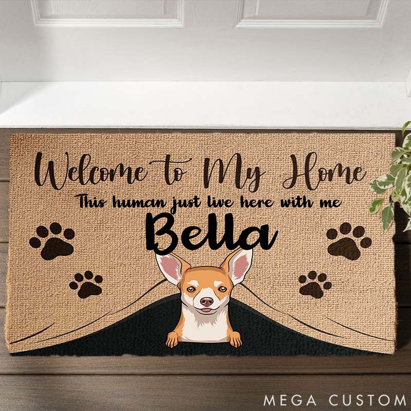 Personalized Dog Lover Welcome to the Pet Home Doormat
