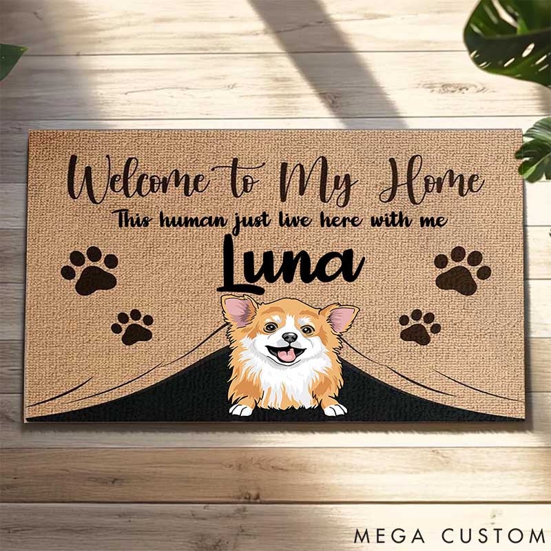 Personalized Dog Lover Welcome to the Pet Home Doormat