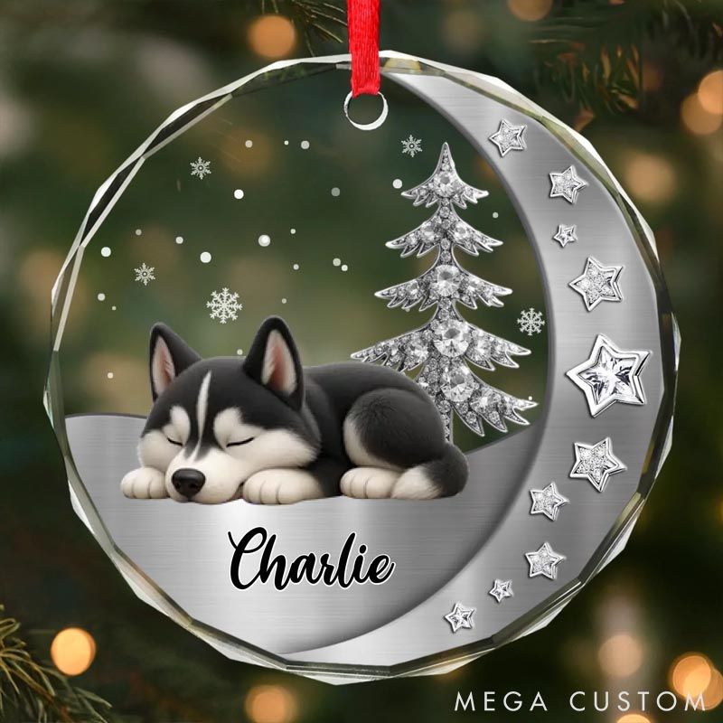 Personalized Dog Lover Woofs Wrapped in Wonder Christmas Ornament