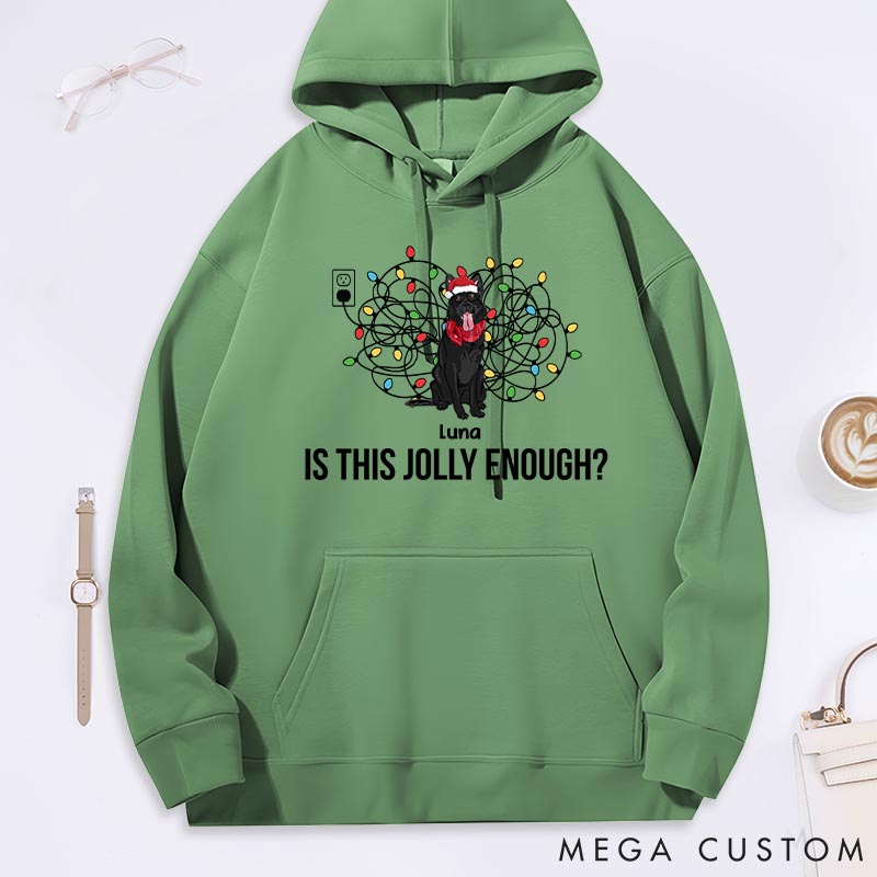 Personalized Dog Lover everything is Fine Christmas Classic Hoodies