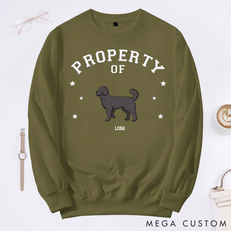 Personalized Dog Lover the Property of My Dogs Sweatshirts
