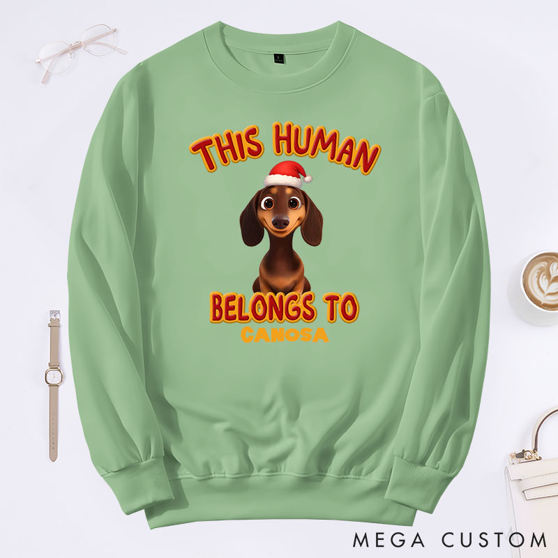 Personalized Dog Lover this Human Belongs to Lovely Dog Christmas Sweatshirts