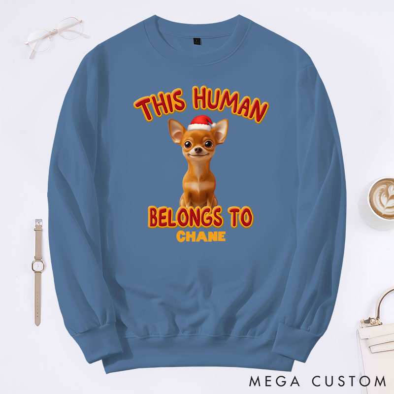 Personalized Dog Lover this Human Belongs to Lovely Dog Christmas Sweatshirts