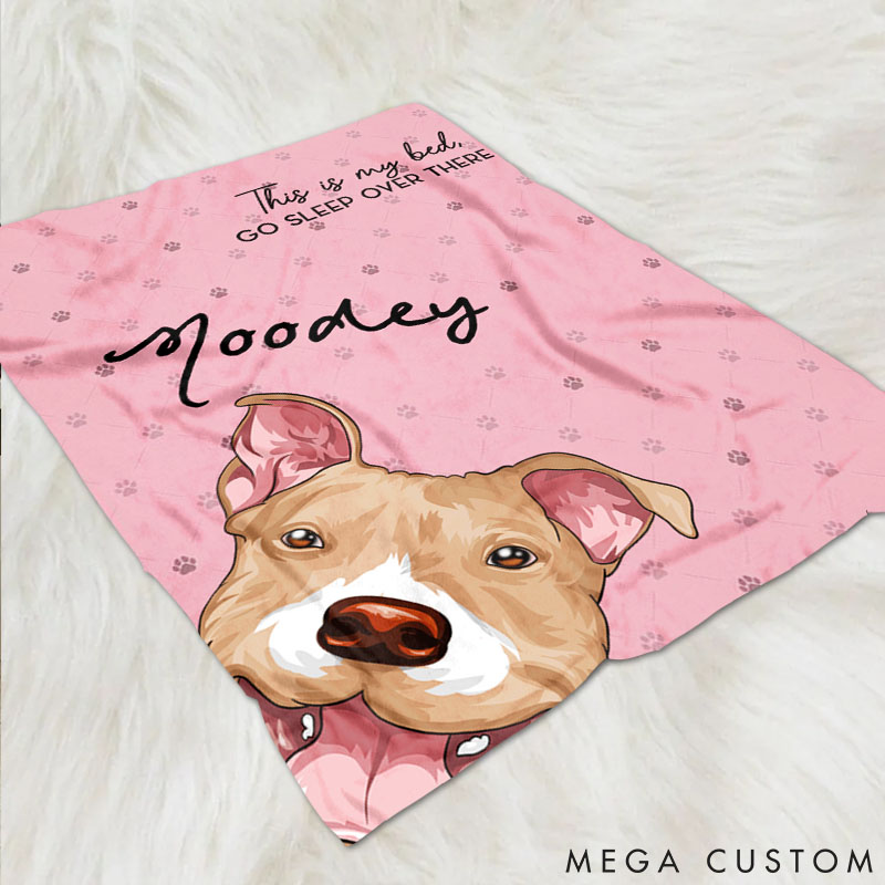 Personalized Dog Lover this is Our Bed Throw Blanket