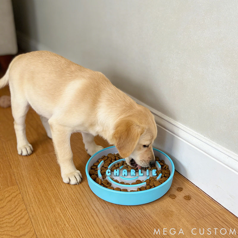 Personalized Dog Slow Feeder Bowl 3D Printed Gift for Pet Lover for Dog Lover