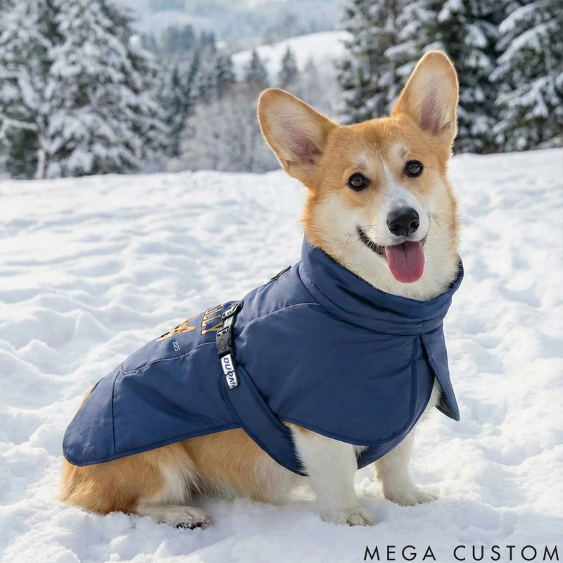 Personalized Funny Face Photo Adjustable Dog Coat Jacket with Name and Year Pet Supplies Winter Daily Use Pet Party Gift for Dog Owners Lovers