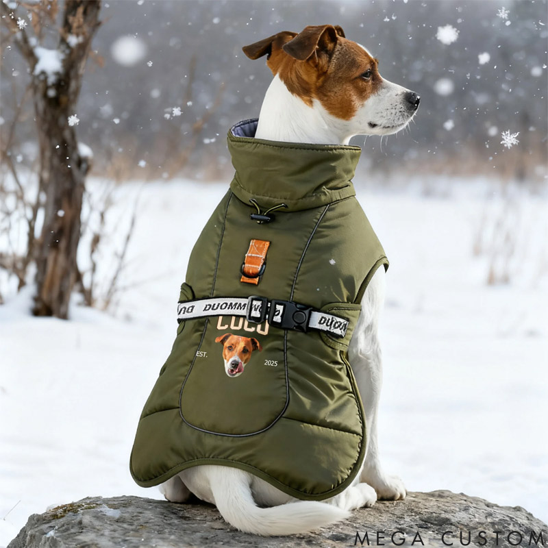 Personalized Funny Face Photo Adjustable Dog Coat Jacket with Name and Year Pet Supplies Winter Daily Use Pet Party Gift for Dog Owners Lovers