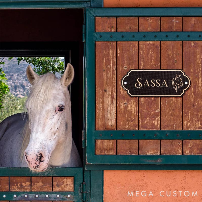 Personalized Horse Lover Retro Stable Horse Door Engraving Name Plates with Pattern Housewarming Gift